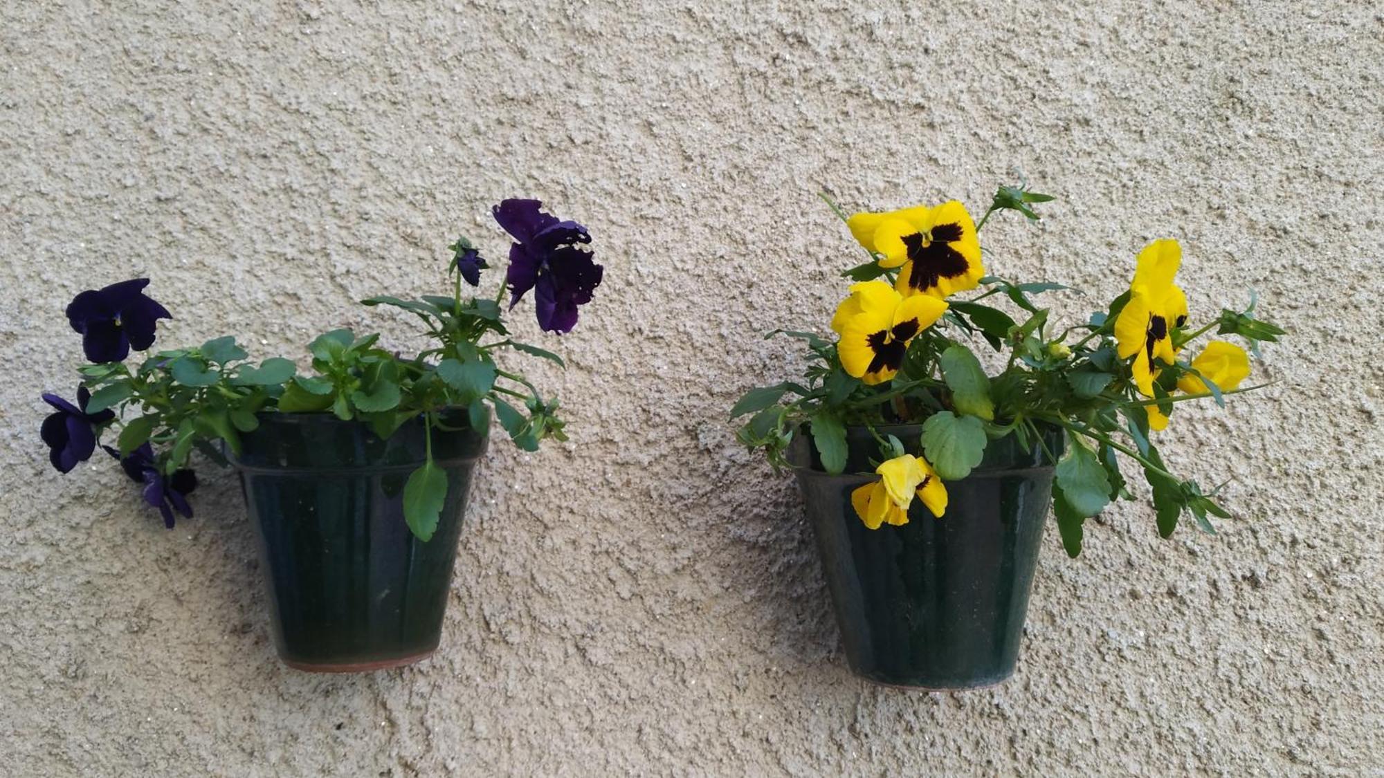 コマルカ・デ・オウレンセ Casa Iriana - Parking Gratis I Jardin I Barbacoaヴィラ エクステリア 写真
